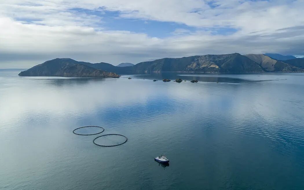 新西兰开创全球首例，外海基地落地；1.3万人血糖检测出错；三岁儿被母带至中国，新西兰父亲控诉这是绑架（组图） - 7