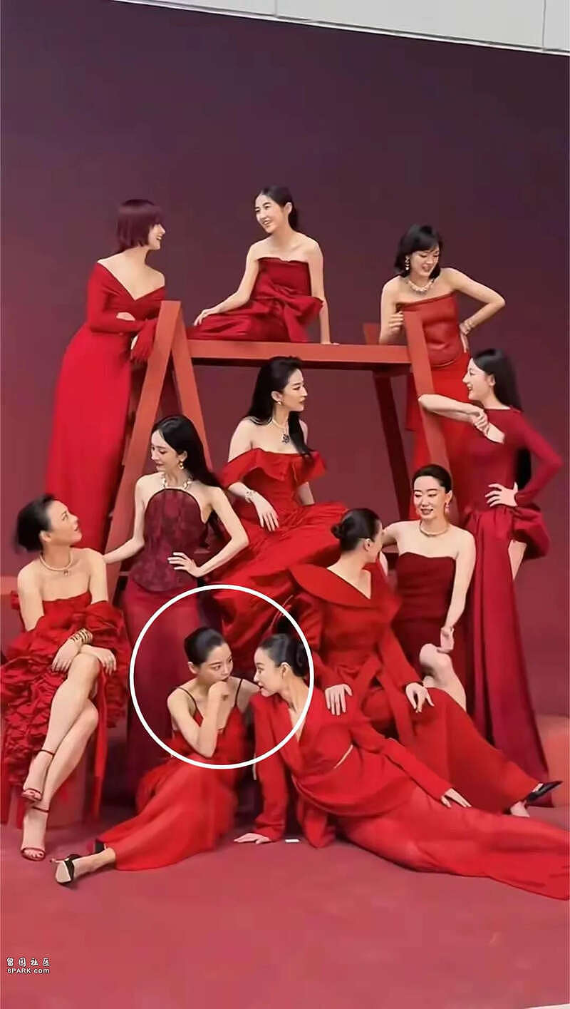 辛芷蕾刚拿国际影后!3位演员摊上事,张颂文最无辜(组图) - 12