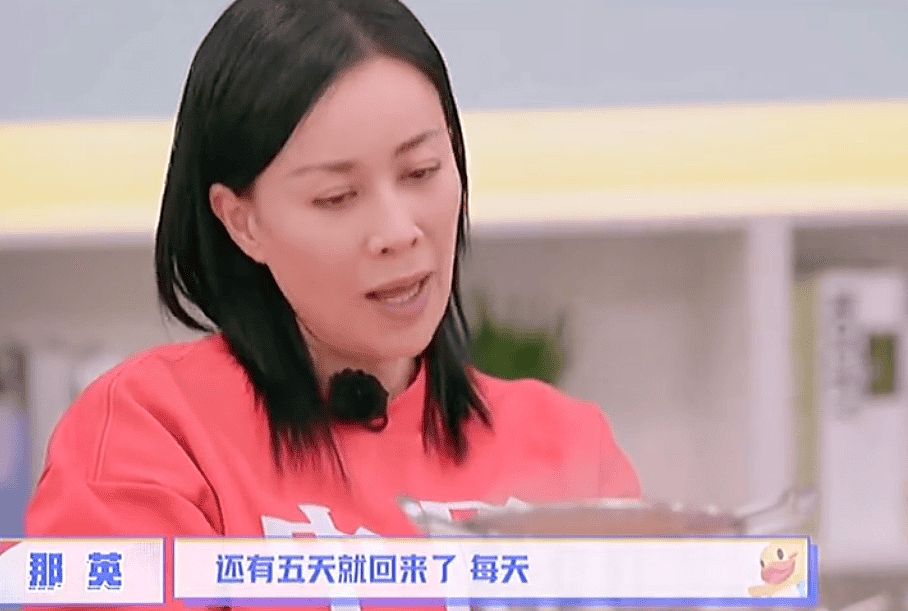 那英老公出轨疑似早有预兆！不停倒数她回家时间，难怪敢带回别墅（组图） - 12