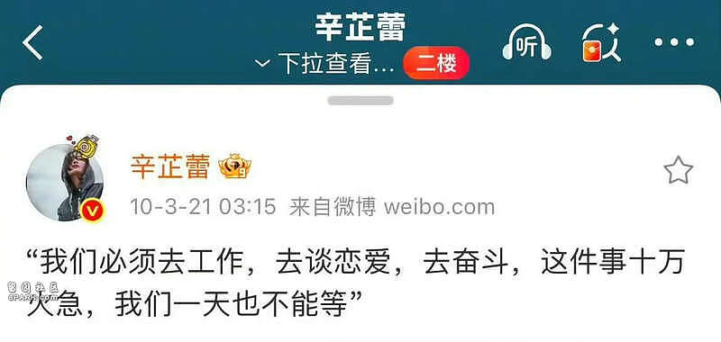 辛芷蕾刚拿国际影后!3位演员摊上事,张颂文最无辜(组图) - 21