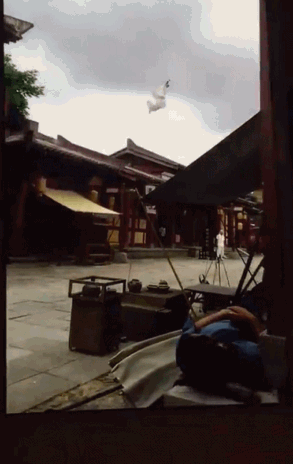 曝于朦胧坠楼身亡！反锁房门，兜揣朋友2块劳力士，更多细节被扒（组图） - 16