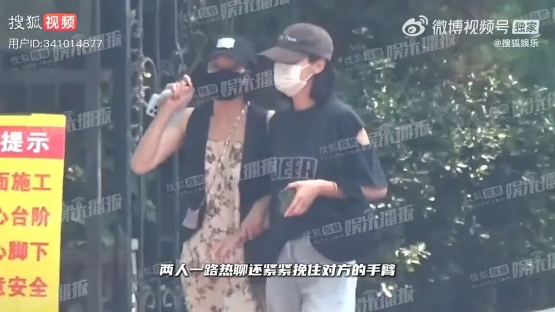 消失的“泰迪姐妹团”，卷土重来？（组图） - 29