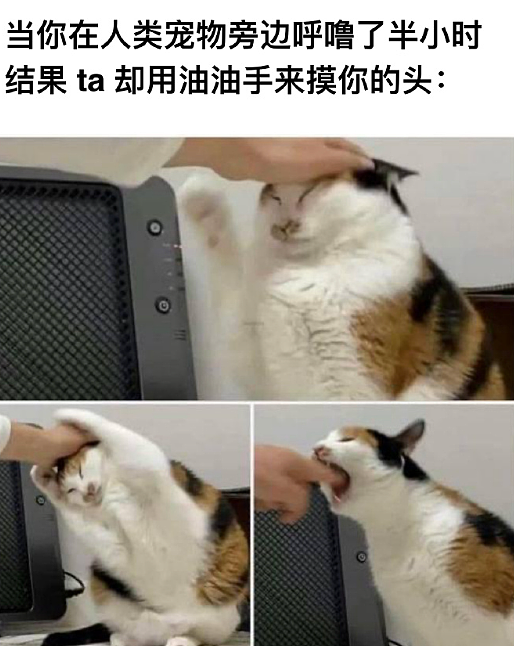 【爆笑】男朋友非要上交工资给我怎么办？网友建议：千万别收啊！（组图） - 26