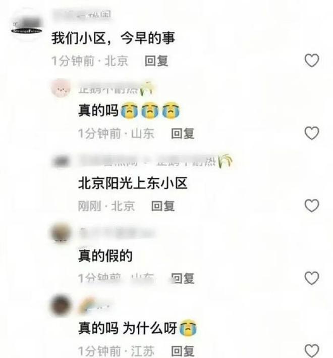 曝于朦胧坠楼身亡！反锁房门，兜揣朋友2块劳力士，更多细节被扒（组图） - 25