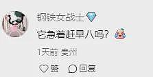 人类要输？机器人保姆会遛狗、送餐、讲PPT，网友：看来我真的要失业了（组图） - 4
