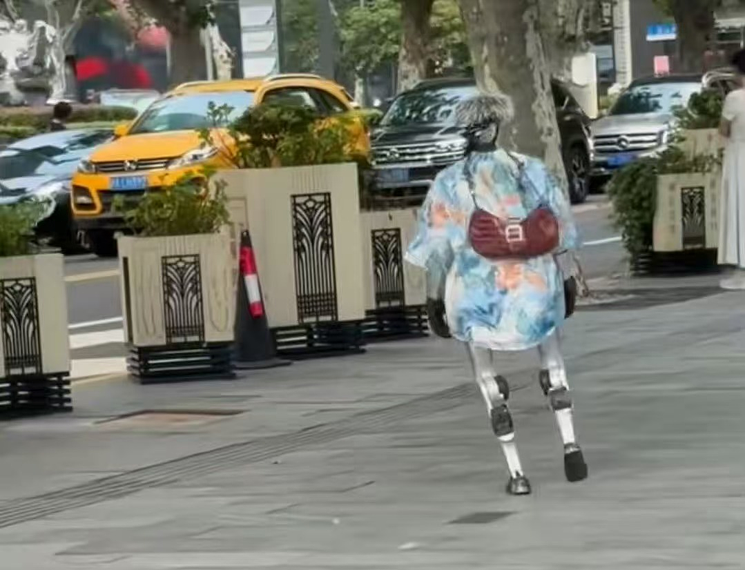 人类要输?机器人保姆会遛狗、送餐、讲PPT,网友:看来我真的要失业了(组图) - 1