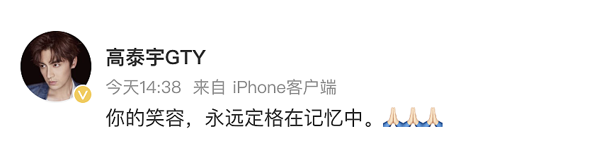 于朦胧坠楼身亡,印小天、张云龙等艺人发文悼念,主演节目原计划明晚央视播出(组图) - 8