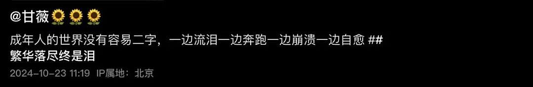 消失的“泰迪姐妹团”，卷土重来？（组图） - 20