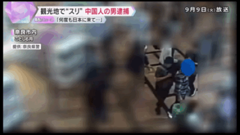 中国男子持旅游签证多次去日本偷窃赚生活费？声称日本人傻好骗，防盗意识弱（组图） - 3