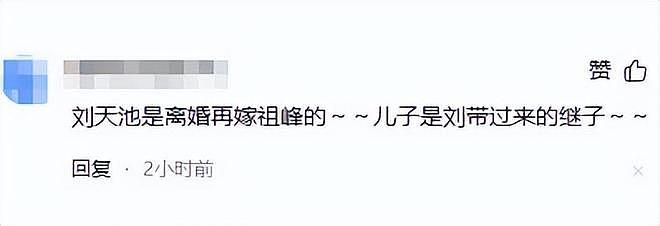 原来他早就有孩子！结婚后对外称丁克， 如今才知儿子已到青春期（组图） - 11
