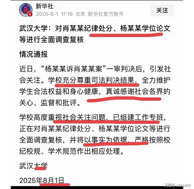 武大杨某媛论文突然下架！已下载31万次，网友：该论文或成抢手货（组图） - 2