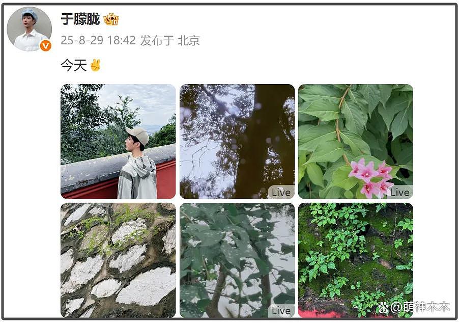 于朦胧确认坠楼身亡!工作室发文:已排除刑事嫌疑!传曾拒绝女投资人被雪藏3年(组图) - 33