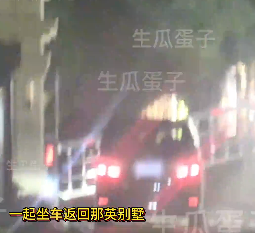 那英被绿了？那英老公与美女亲密依偎，十指相扣，说是腿伤需搀扶，街坊顺路，你信吗？（组图） - 6