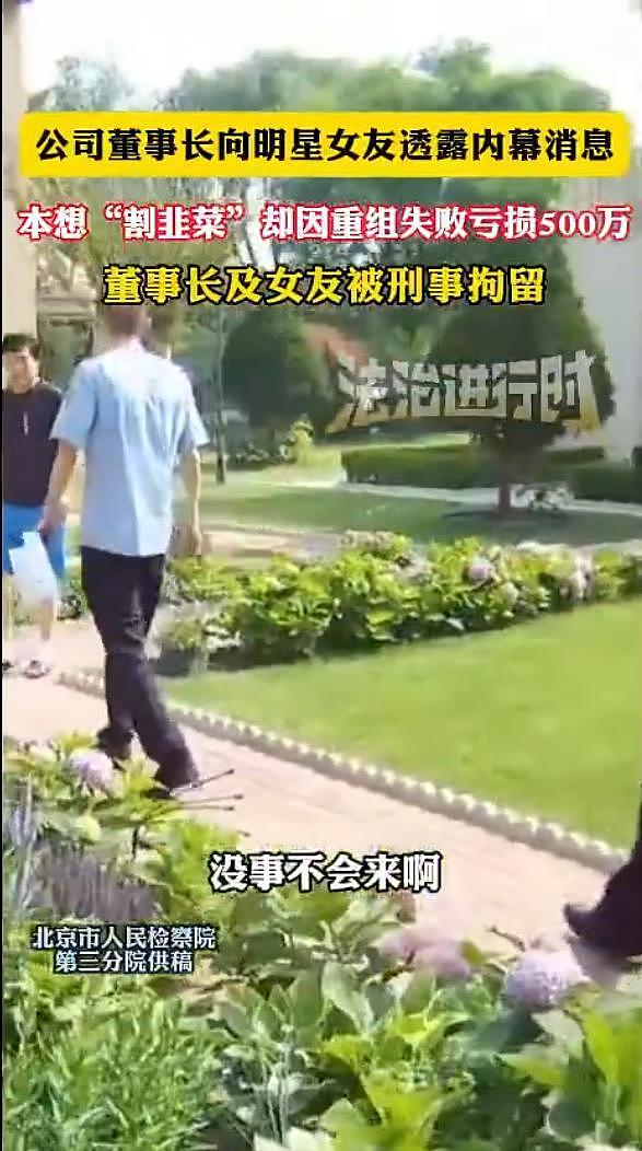 董事长和明星女友内幕交易被刑拘,网友:哪个女明星(组图) - 3