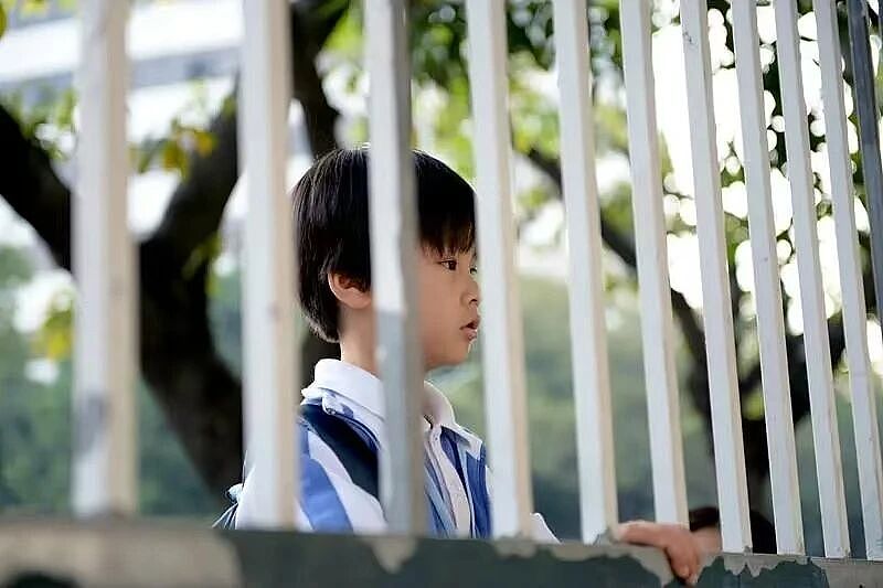遭遇上学障碍的500万“特殊”孩子，其实没有“生病”？（组图） - 5