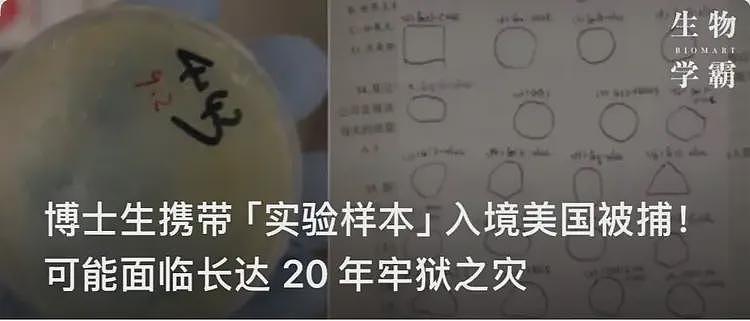 突遭逮捕？博后将自己的研究资料带回国，恐面临 10 年牢狱之灾（组图） - 10