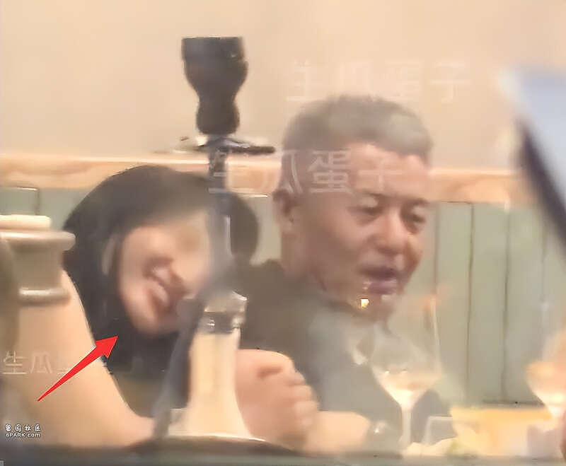 那英做19年“小女人”看走眼？ 孟桐回应破绽百出（组图） - 5