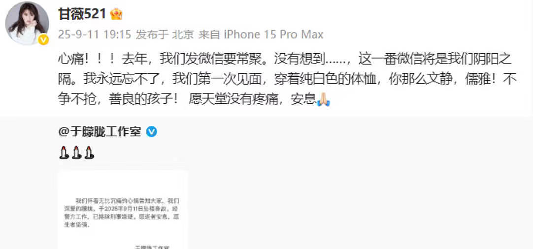 于朦胧确认坠楼身亡!工作室发文:已排除刑事嫌疑!传曾拒绝女投资人被雪藏3年(组图) - 5