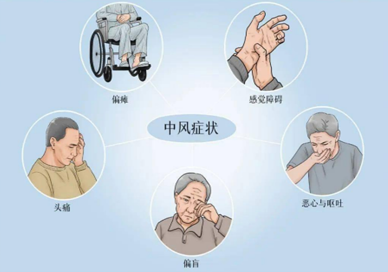 头晕目眩、胸中烦热、失眠急躁,试试这款古方(图) - 1