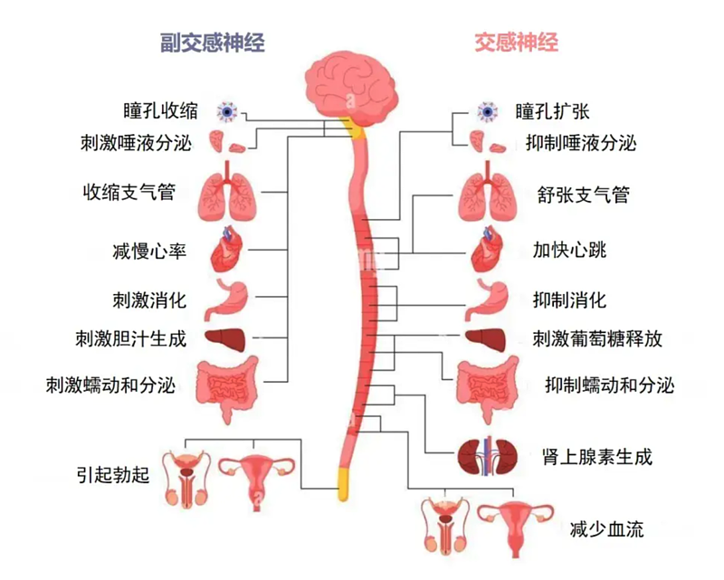 手表的压力测试其实是骗你的，准确率约等于算命（组图） - 7