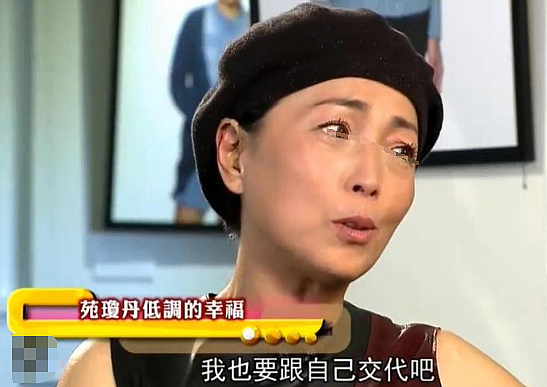 宣布正式丁克？结婚20年一直不生，实则早已分居无交流？今重新复出赚钱养家？（组图） - 8