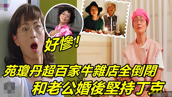 宣布正式丁克？结婚20年一直不生，实则早已分居无交流？今重新复出赚钱养家？（组图） - 3