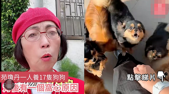 宣布正式丁克？结婚20年一直不生，实则早已分居无交流？今重新复出赚钱养家？（组图） - 30