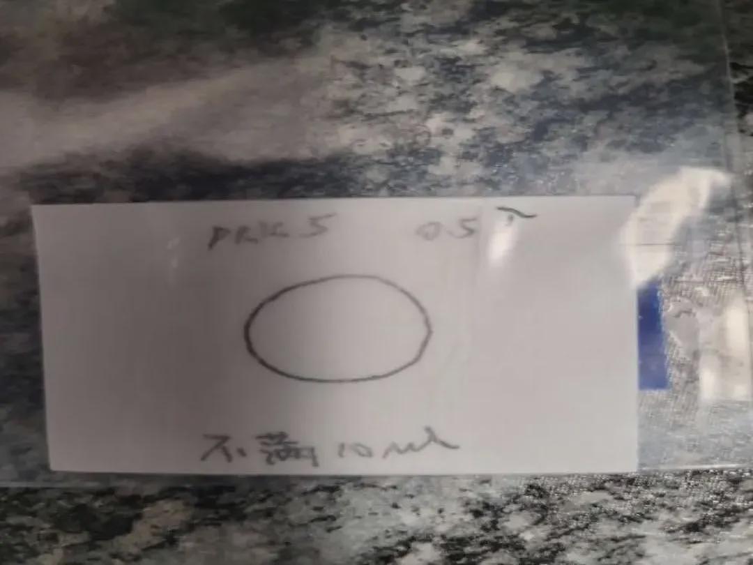 武汉女博士生刑满后将被遣返中国,登机前三天删除手机所有内容(组图) - 4