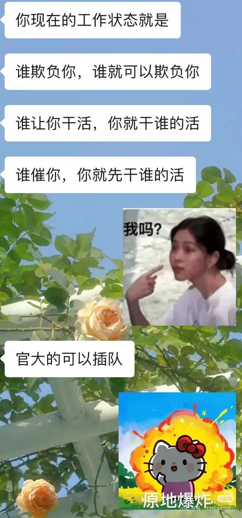 【爆笑】“长得矮有什么优点?” 哈哈哈哈哈哈哈哈被网友的评论区笑晕了(组图) - 20