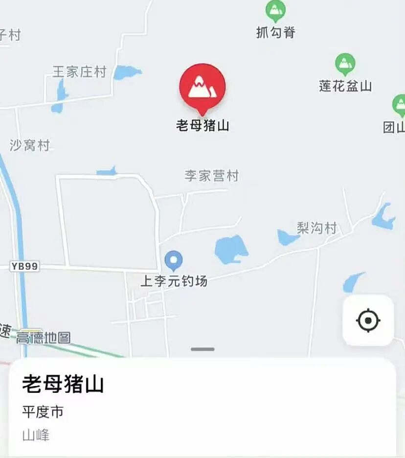 【爆笑】“长得矮有什么优点?” 哈哈哈哈哈哈哈哈被网友的评论区笑晕了(组图) - 103