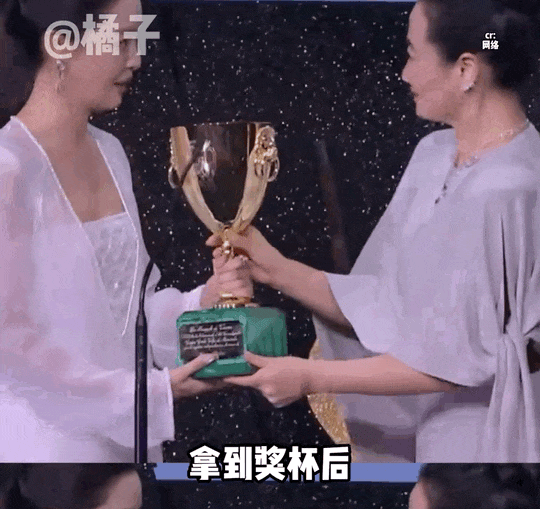 辛芷蕾,给了内娱一巴掌(组图) - 13