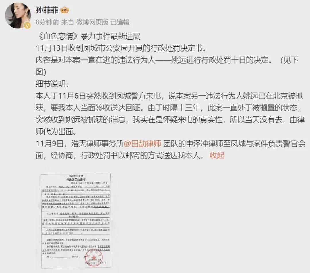 44岁孙菲菲宣布离婚:没必要假装婚姻美满,现在很好,毫无束缚做回自己(组图) - 5