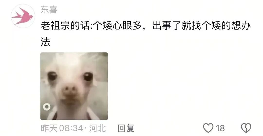 【爆笑】“长得矮有什么优点?” 哈哈哈哈哈哈哈哈被网友的评论区笑晕了(组图) - 15