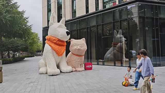 炒作明星博流量，小红书被罚：社交媒体热搜榜成为“清朗”对象（组图） - 6