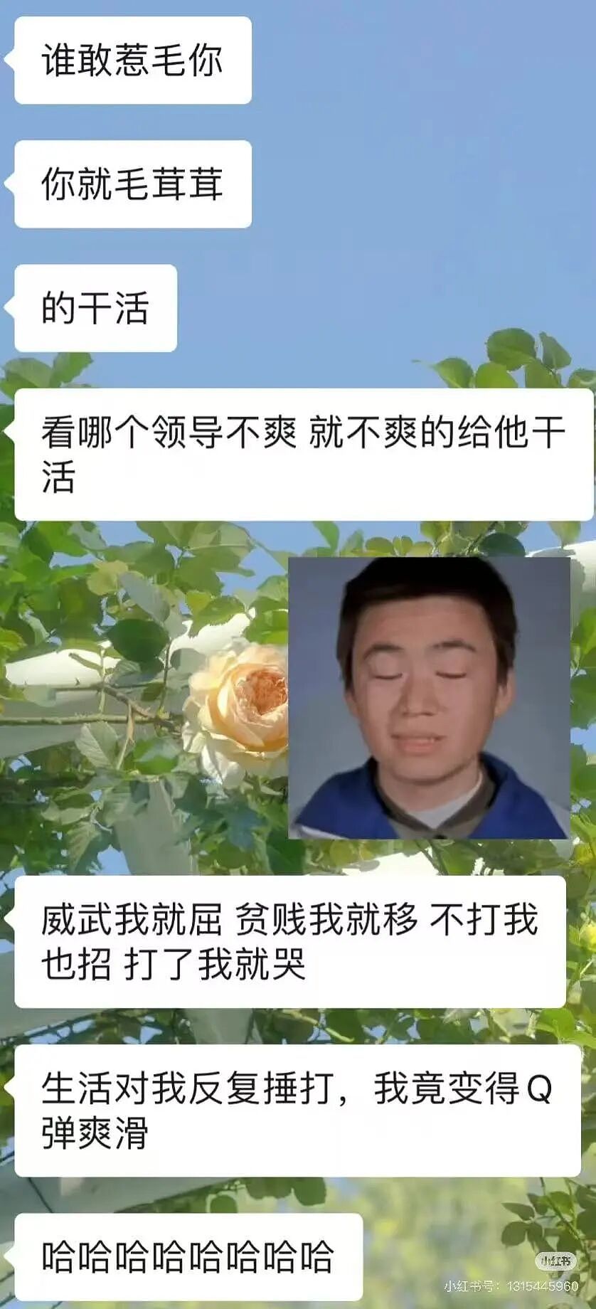 【爆笑】“长得矮有什么优点?” 哈哈哈哈哈哈哈哈被网友的评论区笑晕了(组图) - 21