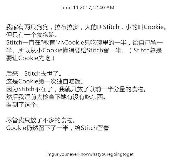 【爆笑】“长得矮有什么优点?” 哈哈哈哈哈哈哈哈被网友的评论区笑晕了(组图) - 91