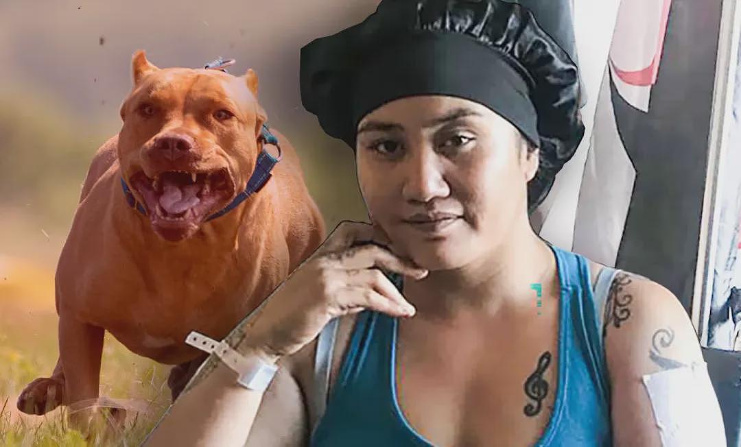 悲痛!17岁澳洲少女被狗咬死,当时正在朋友家学习!类似事件频发,这些实用建议一定要牢记…(组图) - 5
