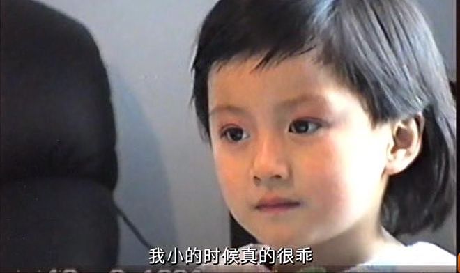 李嘉格离婚、乃万接手？扒一扒著名导演车澈的争议情史（组图） - 6