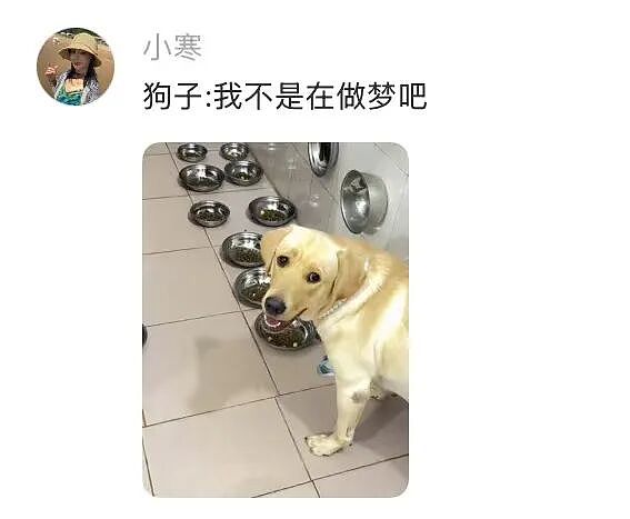 【爆笑】“长得矮有什么优点?” 哈哈哈哈哈哈哈哈被网友的评论区笑晕了(组图) - 29