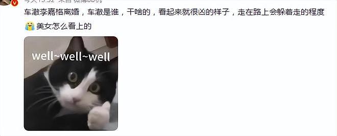 李嘉格离婚、乃万接手？扒一扒著名导演车澈的争议情史（组图） - 3