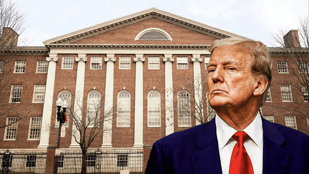好突然！370所美国大学将批量倒闭，小红书上大批“失学”留子睡不着觉.....（组图） - 14