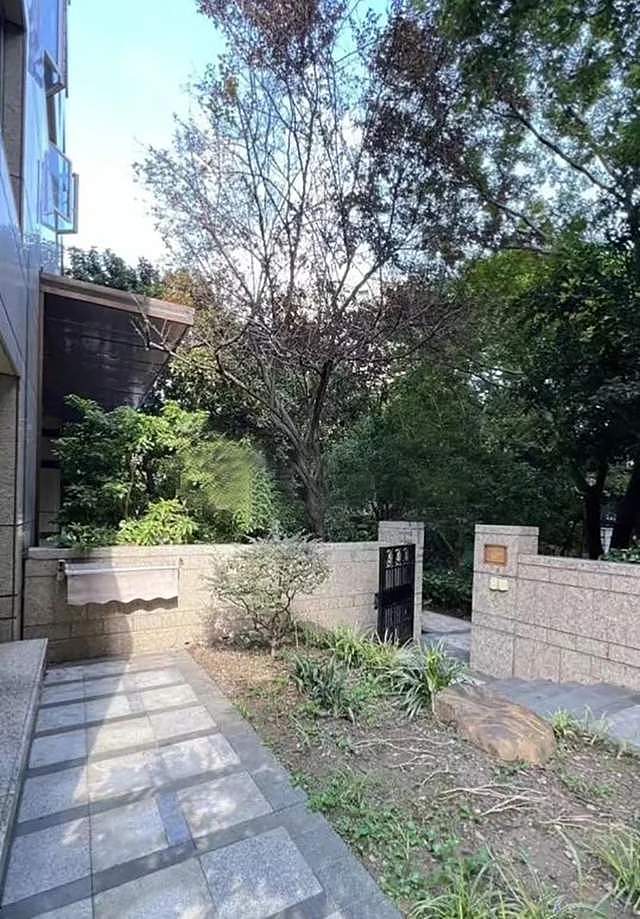 王思聪上海豪宅再次降价出售,还是难找买主!偌大豪宅只能装灰尘(组图) - 9