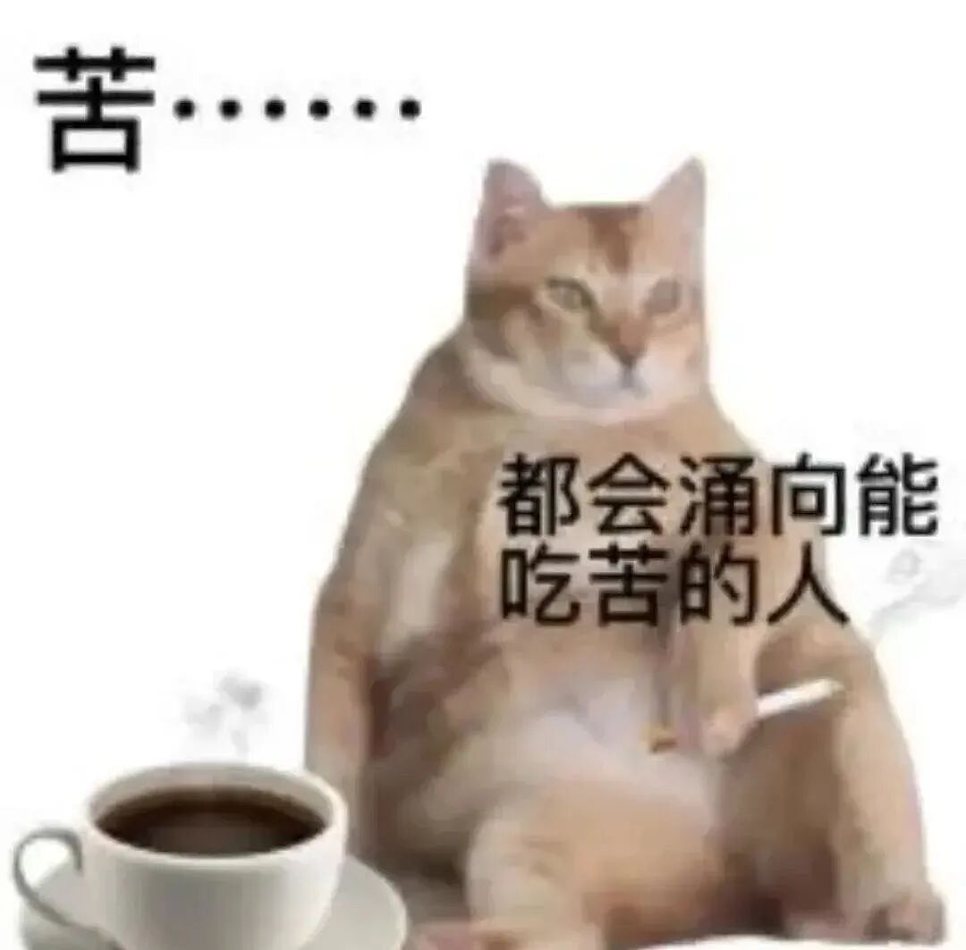 离谱!国外高个美女为找对象做“锯腿”手术?1米7变1米6…(组图) - 15
