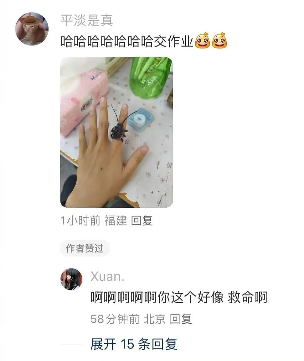 【爆笑】“长得矮有什么优点?” 哈哈哈哈哈哈哈哈被网友的评论区笑晕了(组图) - 70