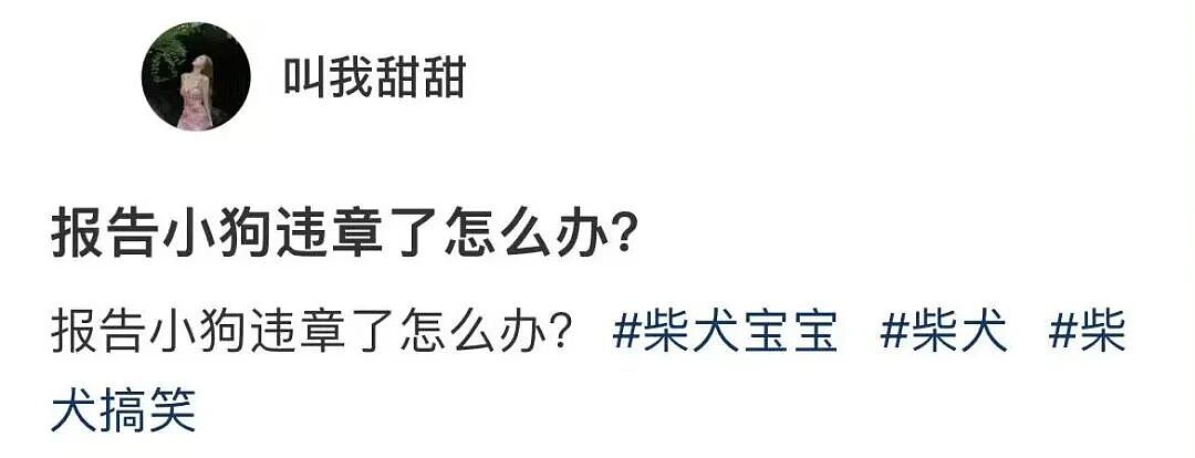 【爆笑】“长得矮有什么优点?” 哈哈哈哈哈哈哈哈被网友的评论区笑晕了(组图) - 78