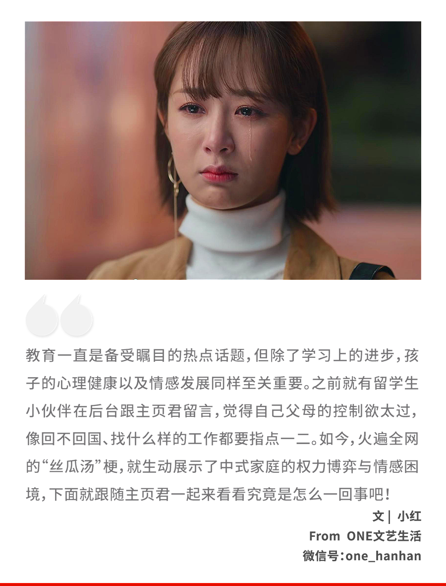 今年最令人窒息的“丝瓜汤”梗,暴露了中式家庭最隐秘的痛(组图) - 1