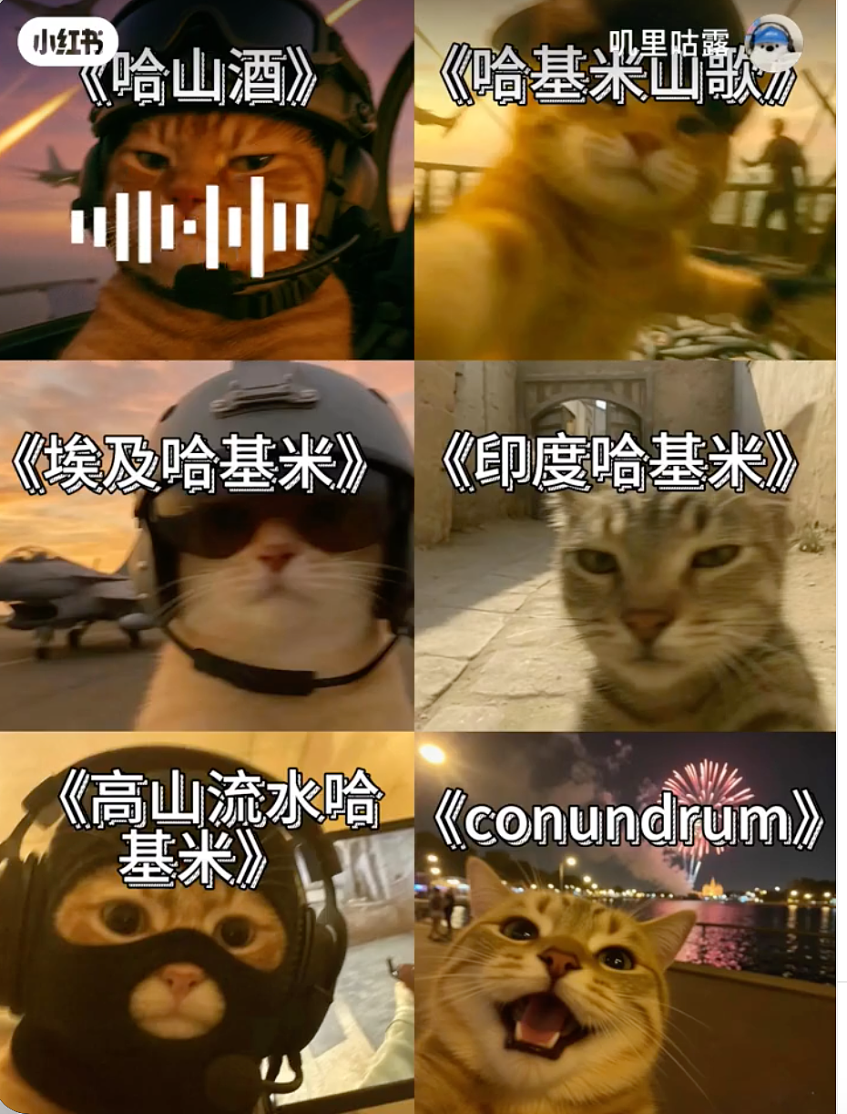 “请阻止我的中国老公”！外国妹子发帖称被逼疯，竟是因为一首歌？网友笑疯了...（组图） - 6