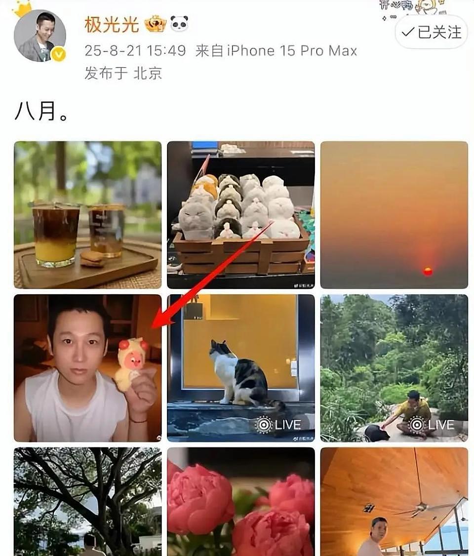 “雪藏”仅冰山一角！于朦胧坠亡牵扯更多内幕，贵圈真乱名不虚传（组图） - 6
