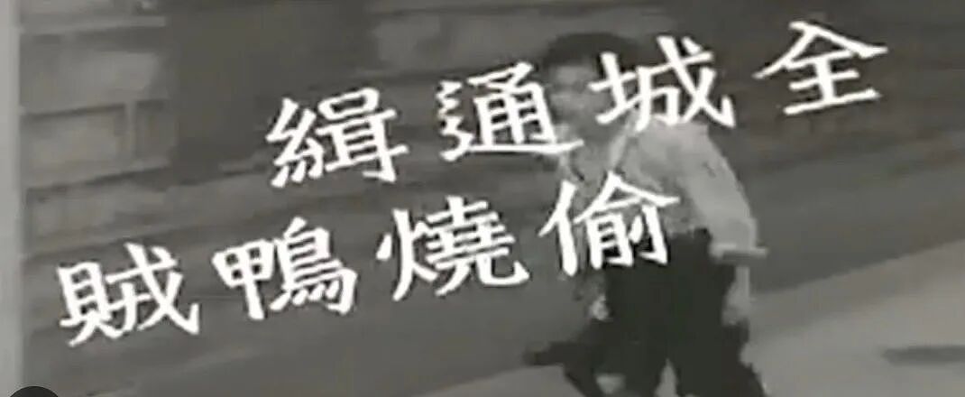 黎姿的珠光宝气，黎宣的绿叶人生：传奇电影世家的香江旧梦（组图） - 36