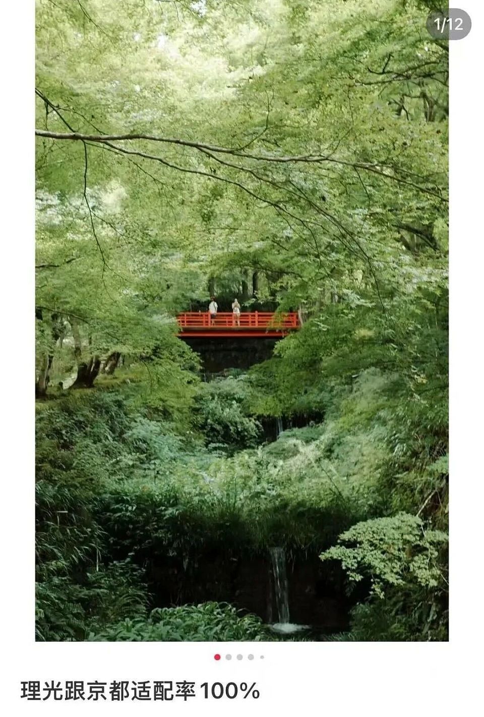 中产电子三件套,没有iPhone(组图) - 2